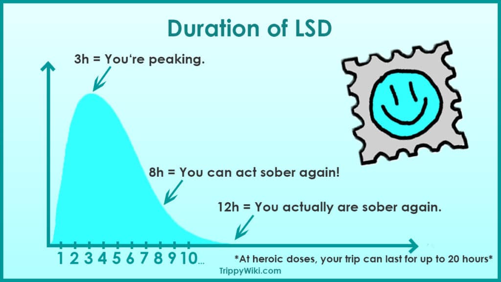 LSD duration