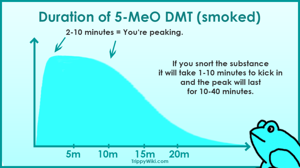 5-MeO DMT Duration