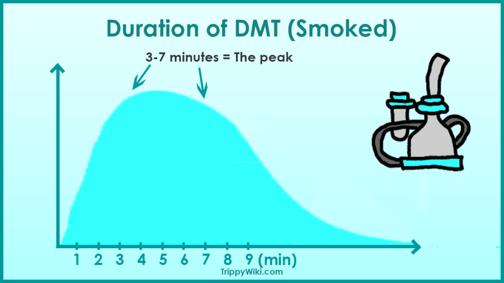 DMT Duration
