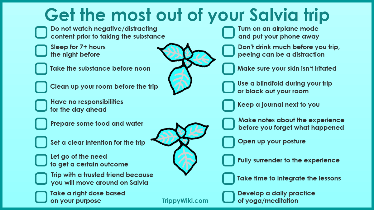 Salvia Divinorum Effects, Dosage, How To Take It & More