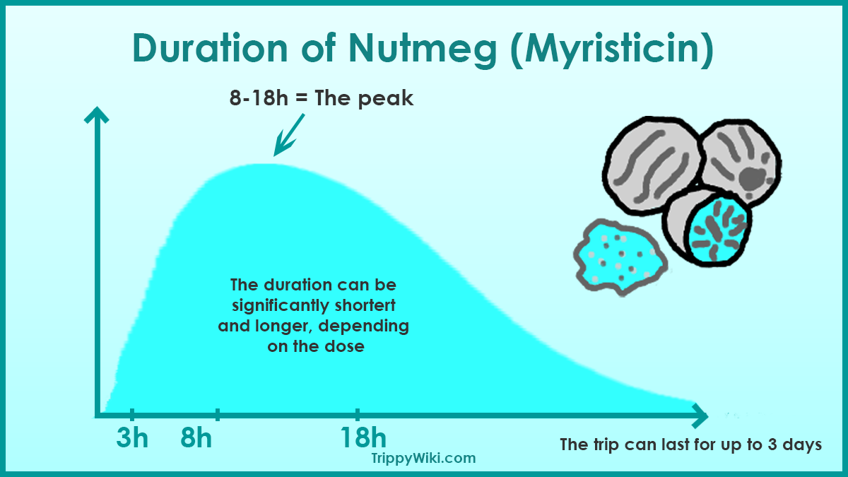 nutmeg trip simulation