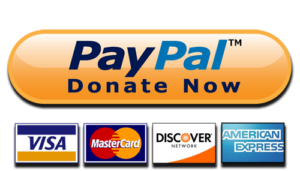 https://www.paypal.com/donate?hosted_button_id=GHEK8M2QWELR6