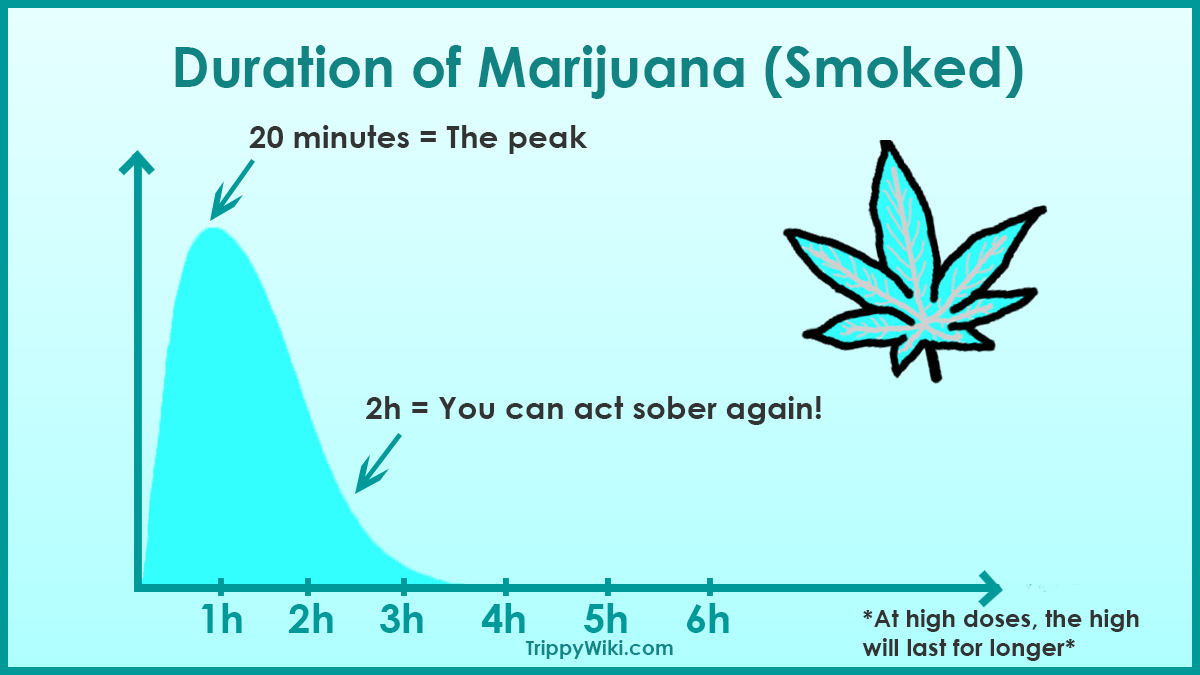 How Long Does A Weed Plant Take To Smoke
