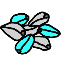 Morning glory seeds (LSA) icon